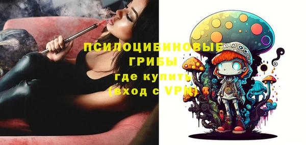 мяу мяу мука Белокуриха