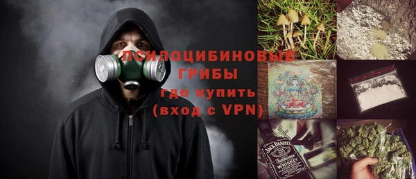 мяу мяу мука Белокуриха