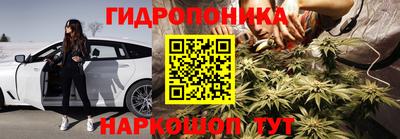 эйфоретик Малгобек