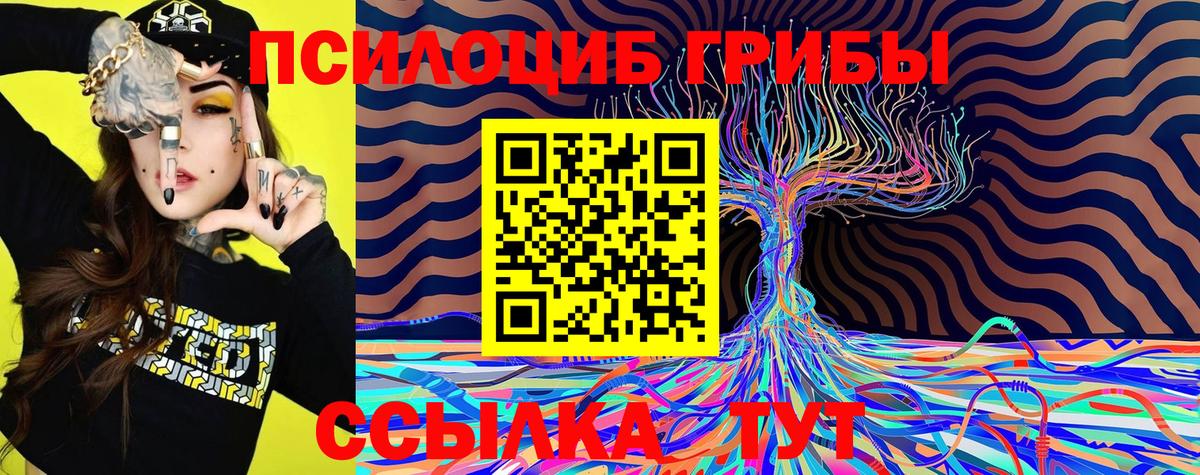 Галлюциногенные грибы GOLDEN TEACHER  сколько стоит  Азнакаево  Вход с VPN 