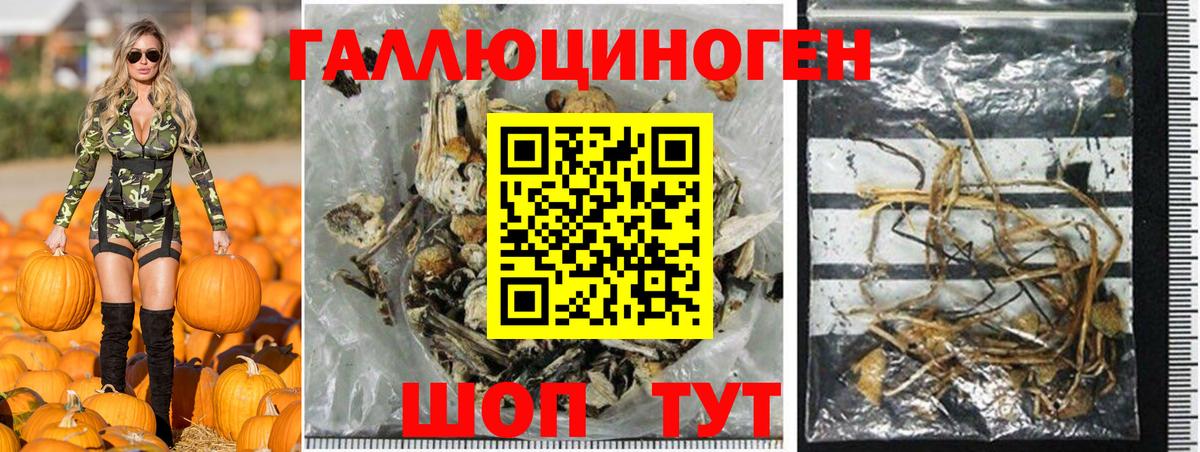 Галлюциногенные грибы ЛСД Азнакаево