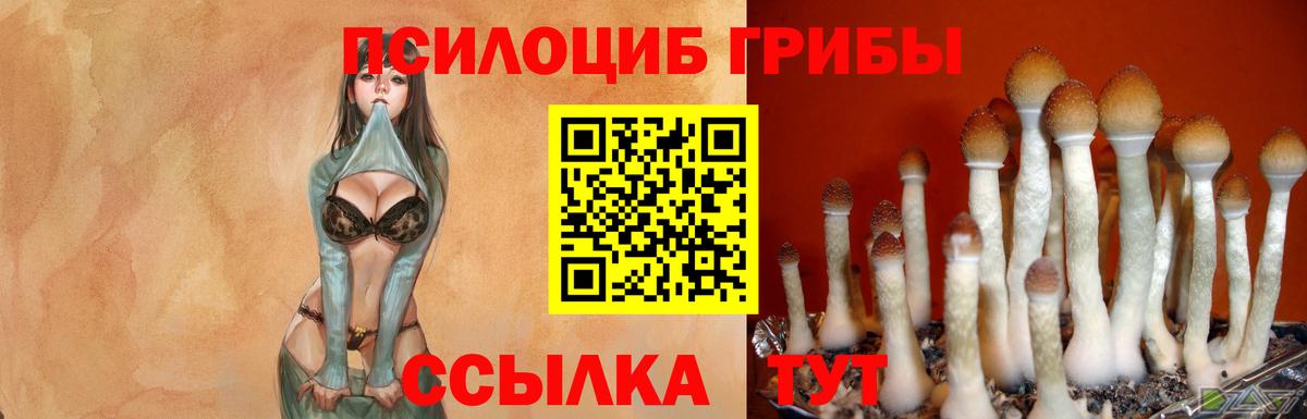 Азнакаево  Галлюциногенные грибы GOLDEN TEACHER  Вход с VPN 